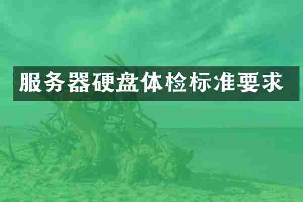 服务器硬盘体检标准要求