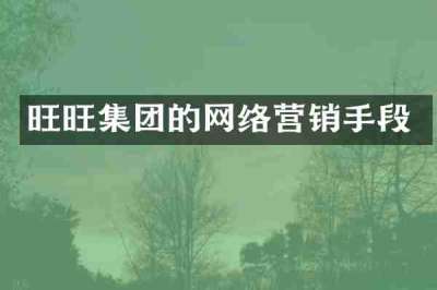 旺旺集团的网络营销手段