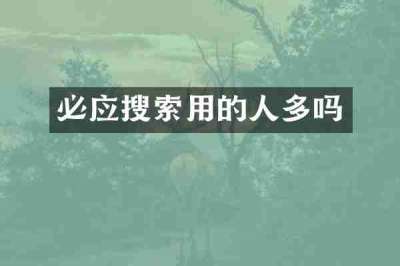必应搜索用的人多吗