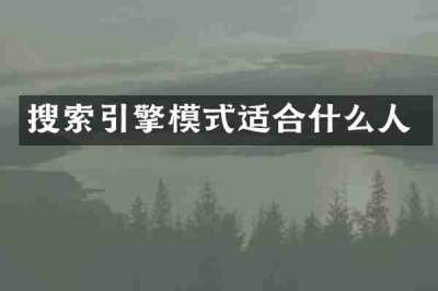 搜索引擎模式适合什么人