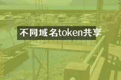 不同域名token共享