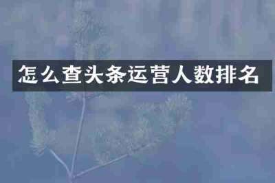 怎么查头条运营人数排名