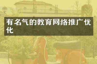 有名气的教育网络推广优化
