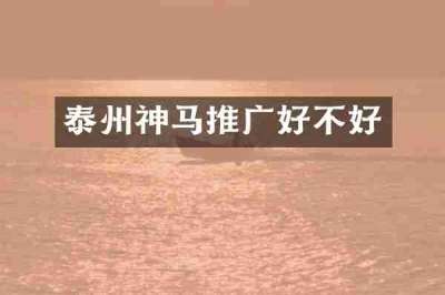 泰州神马推广好不好