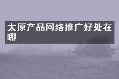 太原产品网络推广好处在哪
