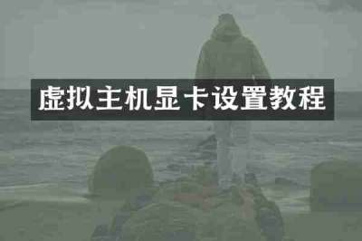 虚拟主机显卡设置教程