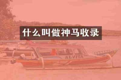 什么叫做神马收录