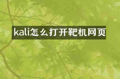 kali怎么打开靶机网页