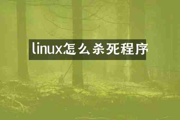 linux怎么杀死程序