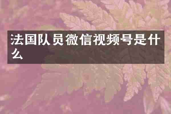 法国队员微信视频号是什么