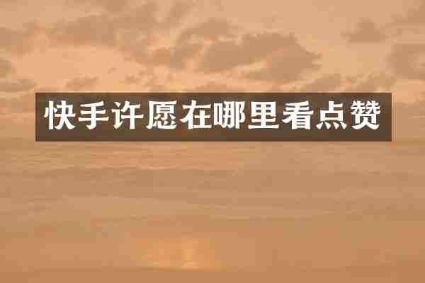 快手许愿在哪里看点赞