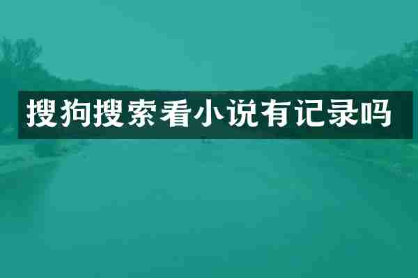 搜狗搜索看小说有记录吗
