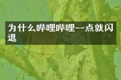 为什么哔哩哔哩一点就闪退