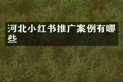 河北小红书推广案例有哪些