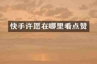 快手许愿在哪里看点赞