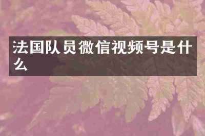 法国队员微信视频号是什么