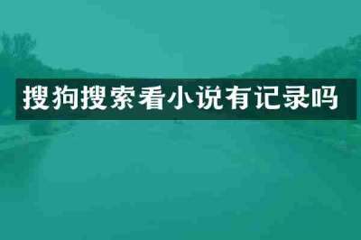 搜狗搜索看小说有记录吗