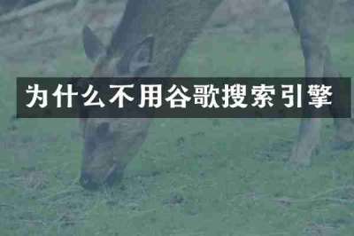 为什么不用谷歌搜索引擎