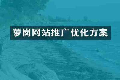 萝岗网站推广优化方案