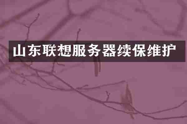 山东联想服务器续保维护
