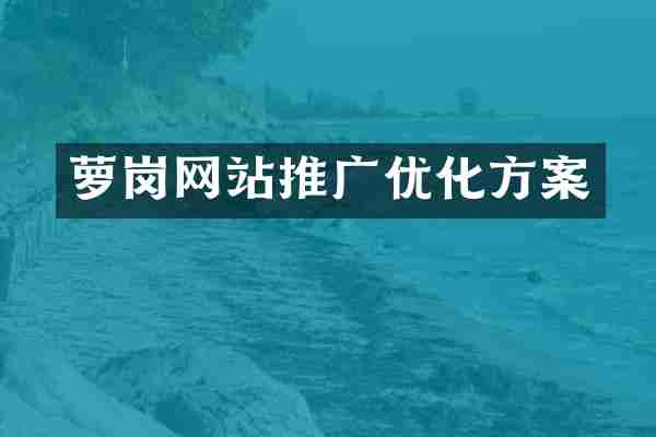 萝岗网站推广优化方案