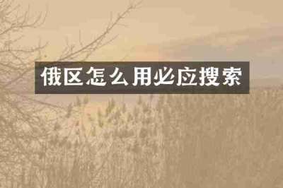 俄区怎么用必应搜索