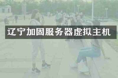 辽宁加固服务器虚拟主机