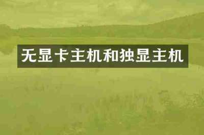 无显卡主机和独显主机