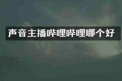声音主播哔哩哔哩哪个好