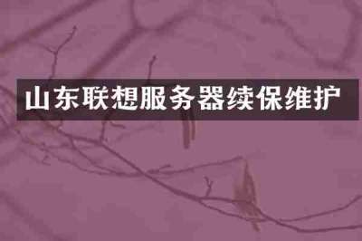 山东联想服务器续保维护