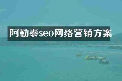 阿勒泰seo网络营销方案