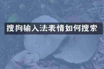 搜狗输入法表情如何搜索