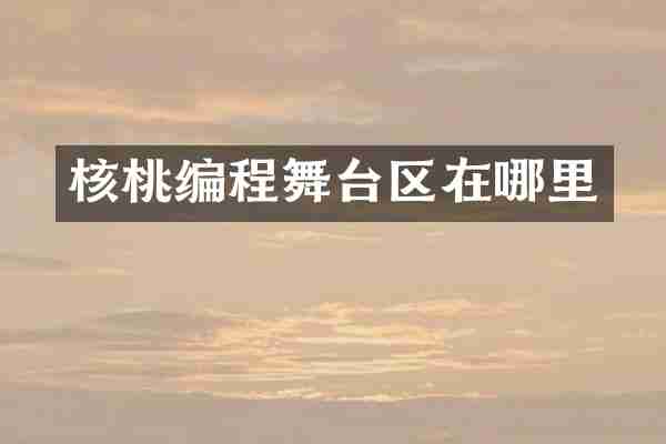 核桃编程舞台区在哪里