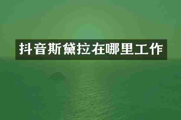抖音斯黛拉在哪里工作