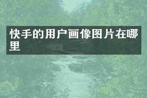 快手的用户画像图片在哪里
