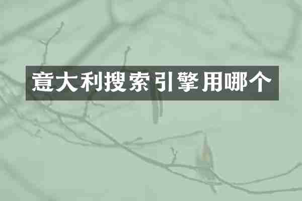 意大利搜索引擎用哪个