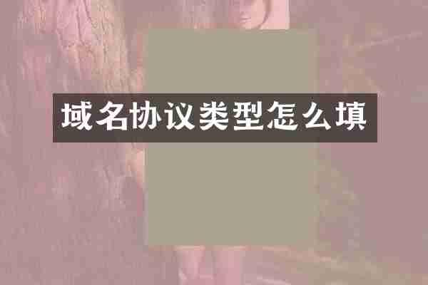 域名协议类型怎么填