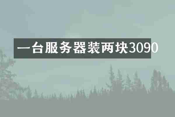一台服务器装两块3090