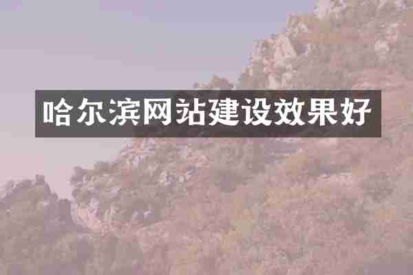 哈尔滨网站建设效果好