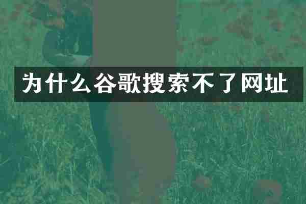 为什么谷歌搜索不了网址