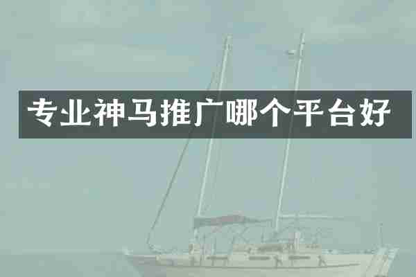 专业神马推广哪个平台好