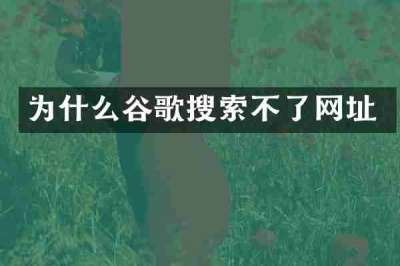 为什么谷歌搜索不了网址