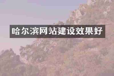 哈尔滨网站建设效果好
