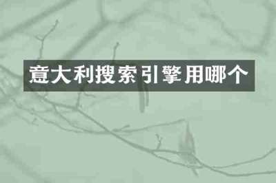 意大利搜索引擎用哪个