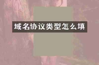 域名协议类型怎么填