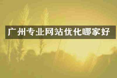 广州专业网站优化哪家好