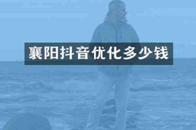 襄阳抖音优化多少钱