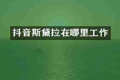 抖音斯黛拉在哪里工作
