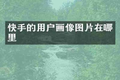 快手的用户画像图片在哪里