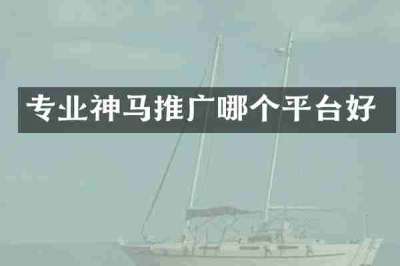 专业神马推广哪个平台好